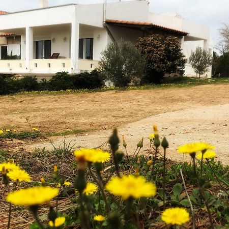 The Hillhouse Near Alexandroupolis Villa Exterior foto
